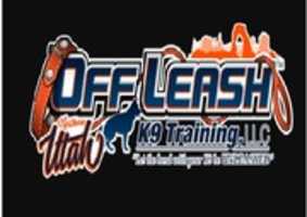 免费下载 Off Leash K9 Training Utah 免费照片或图片以使用 GIMP 在线图像编辑器进行编辑