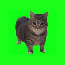 OIIA Dance Party  screen for extension Chrome web store in OffiDocs Chromium