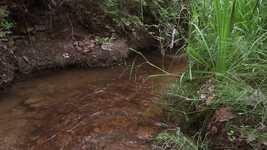 Free download Okanagan Landscape Creek -  free video to be edited with OpenShot online video editor