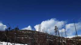 Free download Okanagan Winter Forest Fire -  free video to be edited with OpenShot online video editor