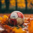 Old Ball On Autumn Leaves Field  screen for extension Chrome web store in OffiDocs Chromium