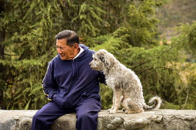 Free download older dog old man with his dog free picture to be edited with GIMP free online image editor