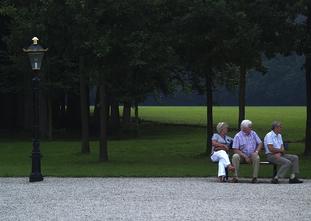 Скачать бесплатно старые люди в парке пожилые люди скамья в парке бесплатное изображение для редактирования с помощью бесплатного онлайн-редактора изображений GIMP