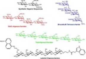 ດາວ​ໂຫຼດ​ຟຣີ Oligosaccharide Synthesis ຮູບ​ພາບ​ຟຣີ​ຫຼື​ຮູບ​ພາບ​ທີ່​ຈະ​ໄດ້​ຮັບ​ການ​ແກ້​ໄຂ​ກັບ GIMP ອອນ​ໄລ​ນ​໌​ບັນ​ນາ​ທິ​ການ​ຮູບ​ພາບ