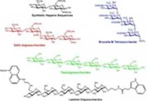 Bezpłatne pobieranie darmowego zdjęcia lub obrazu Oligosaccharide Synthesis do edycji za pomocą internetowego edytora obrazów GIMP