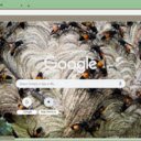 Ong Vo Ve  screen for extension Chrome web store in OffiDocs Chromium
