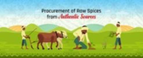 Free download Online Masala Store - Sadguna free photo or picture to be edited with GIMP online image editor