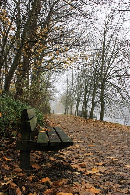 Muat turun percuma Oostende Maria Hendrikapark Herfst - foto atau gambar percuma percuma untuk diedit dengan editor imej dalam talian GIMP