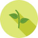 open in overleaf  screen for extension Chrome web store in OffiDocs Chromium