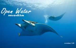 Free download openwatermedia free photo or picture to be edited with GIMP online image editor