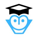 OPT Helper: For International Students  screen for extension Chrome web store in OffiDocs Chromium