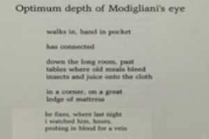Free download Optimum Depth of Modiglianis Eye - Michael Dransfield free photo or picture to be edited with GIMP online image editor