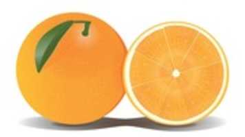 Free download orange-756391__340 free photo or picture to be edited with GIMP online image editor