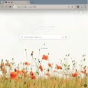 OrangeFlower Browser Theme  screen for extension Chrome web store in OffiDocs Chromium