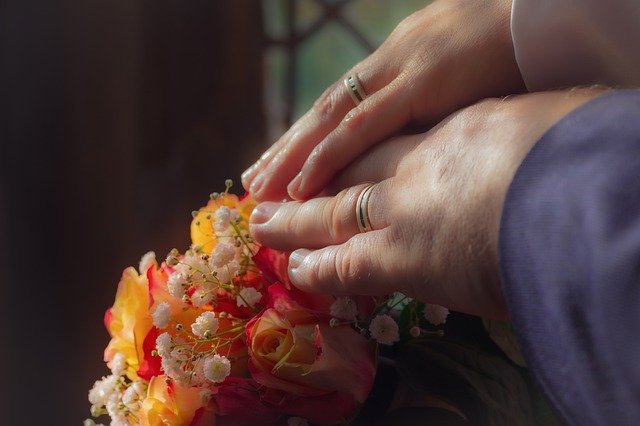 Kostenloser Download von orangefarbenen Straußenringen zum Heiraten, kostenloses Bild, das mit dem kostenlosen Online-Bildeditor GIMP bearbeitet werden kann