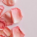 Orange Rose Petals  screen for extension Chrome web store in OffiDocs Chromium
