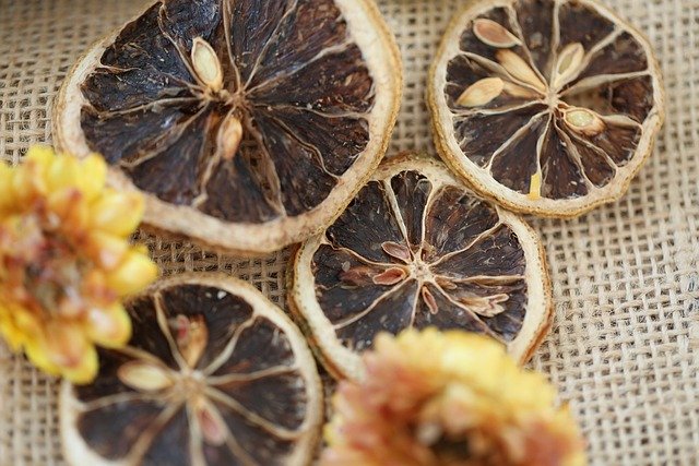 Free download oranges fruit flowers dried fruits free picture to be edited with GIMP free online image editor