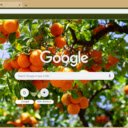 OrangeTree  screen for extension Chrome web store in OffiDocs Chromium