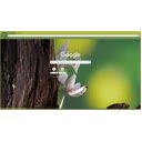 orchid mantis  screen for extension Chrome web store in OffiDocs Chromium