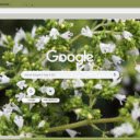 Origanum  screen for extension Chrome web store in OffiDocs Chromium