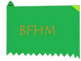 Free download Original BFHM Icon free photo or picture to be edited with GIMP online image editor