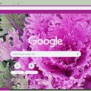 Ornamental Kale  screen for extension Chrome web store in OffiDocs Chromium