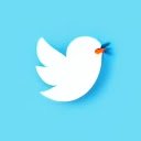 Orthotwitter  screen for extension Chrome web store in OffiDocs Chromium