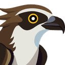 Osprey: Browser Protection  screen for extension Chrome web store in OffiDocs Chromium