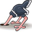 Ostrich  screen for extension Chrome web store in OffiDocs Chromium