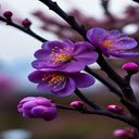 Outstanding purple flower wallpaper  screen for extension Chrome web store in OffiDocs Chromium