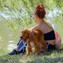 ovely golden dog next to girl  screen for extension Chrome web store in OffiDocs Chromium