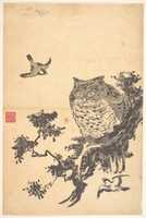 Free download Owl and Two Swallows free photo or picture to be edited with GIMP online image editor