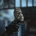 Owl Theme  screen for extension Chrome web store in OffiDocs Chromium