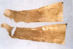 Free download Pair of leggings free photo or picture to be edited with GIMP online image editor