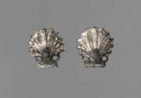 Free download Pair of silver attachments in the form of seashells free photo or picture to be edited with GIMP online image editor