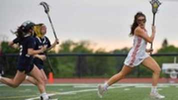 Free download pal-mac-lax-2019-05-29 free photo or picture to be edited with GIMP online image editor