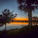 Palm silhouettes and sunset  screen for extension Chrome web store in OffiDocs Chromium