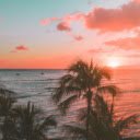 Palm Tree Near Body of Water during Sunset  screen for extension Chrome web store in OffiDocs Chromium