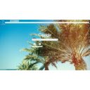 Palm trees in the sunlight  screen for extension Chrome web store in OffiDocs Chromium