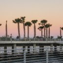 Palm trees on the bridge  screen for extension Chrome web store in OffiDocs Chromium