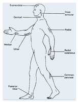 Free download Palpable nerves free photo or picture to be edited with GIMP online image editor