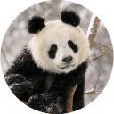 Tela da nova guia do Panda Wallpaper para extensão da loja virtual do Chrome no OffiDocs Chromium