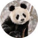 Екран нової вкладки Panda Wallpaper для розширення Веб-магазин Chrome у OffiDocs Chromium