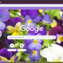 Pansy  screen for extension Chrome web store in OffiDocs Chromium