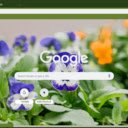 Pansy Viola  screen for extension Chrome web store in OffiDocs Chromium