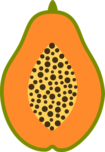 Free download Papaya Fruit Fresh -  free illustration to be edited with GIMP free online image editor