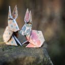 Paper bunny  screen for extension Chrome web store in OffiDocs Chromium