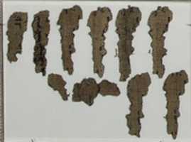 ดาวน์โหลดฟรี Papyrus fragments (5) ภาพถ่ายหรือรูปภาพฟรีที่จะแก้ไขด้วยโปรแกรมแก้ไขรูปภาพออนไลน์ GIMP