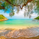 Paradise Beach Theme  screen for extension Chrome web store in OffiDocs Chromium