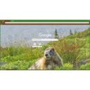 Paradise marmot v1  screen for extension Chrome web store in OffiDocs Chromium